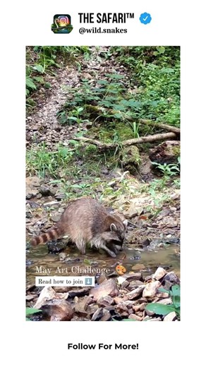 Subscribe to Connect with Nature