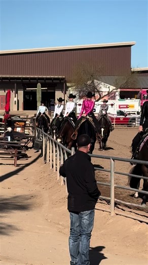 😂 #arizona #equestrian #fypシ #westernpleasure | equestrian