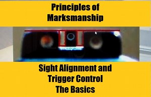 Principles of Marksmanship - Sight Alignment and Trigger Control - The Basics - The Reloaders Network