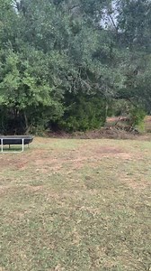 50K views · 8.1K reactions | Getting ready to load in the trailer and head to the 2023 CPRA Finals | Rocking -M / Hat Brand Rodeo | Facebook