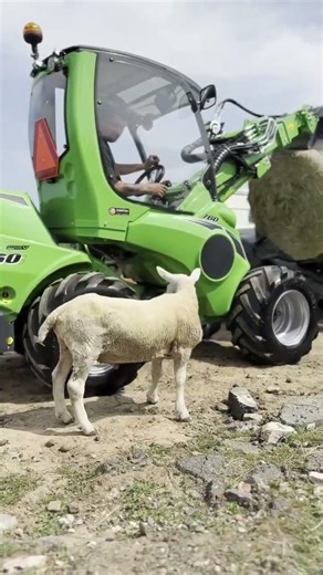 Handling with Care @GlobalSalesLtd