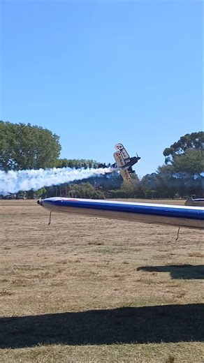 Christen Eagle II LV-X352 y Pitts S-2A Special LV-ANC