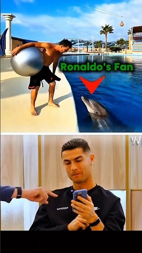 Ronaldo's Dolphin does his Overhead kick #ronaldo #dolphin #shorts #viral