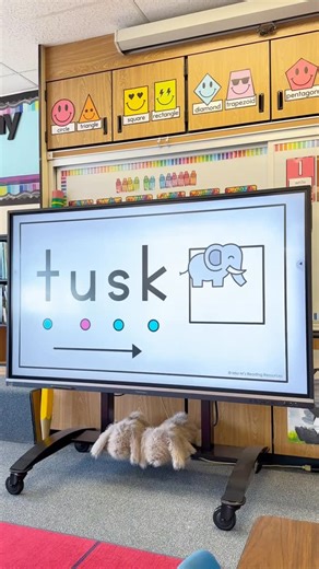 Meredith Morgan • Miss M’s Reading Resources on Instagram: "✨ $ 1 0 B U N D L E ! ✨⁣ ⁣ My fave slides for phonics warm-ups. ⁣ ⁣ With over 500 blending slides for the year that includes CVC words to vowel teams. ⁣ ⁣ Formatted in both Google Slides + PowerPoint. ⁣ ⁣ Save $30 and get the yearlong bundle for just $10 through Wednesday, 1/14, via the link in my profile. Or comment BUNDLE for the messaged link. ⁣ ⁣ Happy teaching! ✨⁣ ⁣ https://www.teacherspayteachers.com/Product/Phonics-Games-Blending