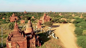 Old city of Bagan Myanmar, drone aerial view sunrise with temples and old pagodas at the historical UNESCO site of old Bagan