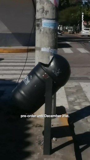 57K views · 1.6K reactions | Every photographer carries a lineage,...