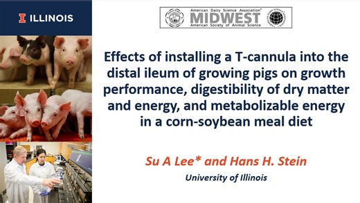 Effects of a T-cannula on growth performance, digestibility of energy, and metabolizable energy in a corn-soybean meal diet | Hans H. Stein