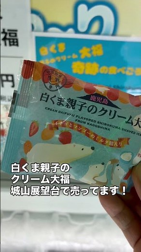 白くま親子のクリーム大福 #しろくま #アイス #鹿児島 #城山 #展望台