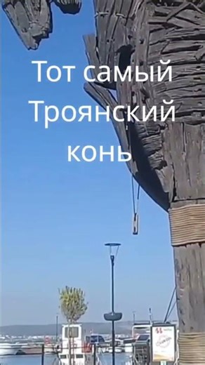 ТОТ САМЫЙ ТРОЯНСКИЙ КОНЬ! 🐎 | Чанаккале, Турция | Moor Moor