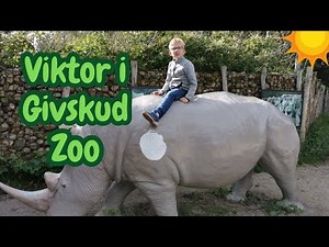 Viktor i Givskud Zoo | På Udflugt i Zootopia