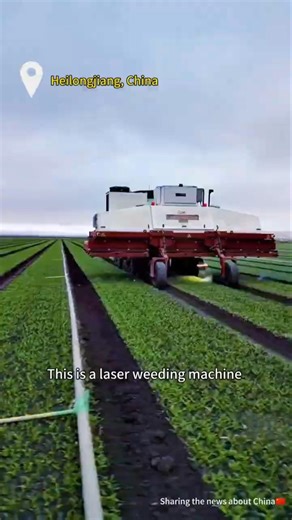 Harbin Institute of Technology has developed a "laser automatic weeding machine"
