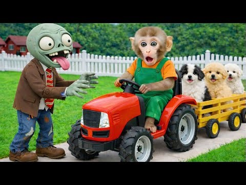 Baby monkey Bim Bim encounters zombies and takes care of three puppies