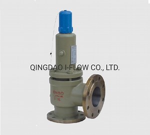 [Hot Item] Chinese Manufacturer Bellows Back Pressure Balanced Fall Lift Safety Valve