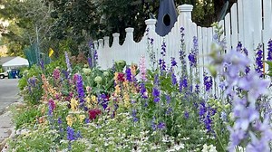 You Can Build a Stunning Flower Wall for Your Home