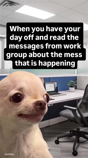 Evil Dog Merchandise Official Page