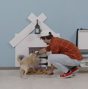 114K views · 968 reactions | House for a dog DIY  | 5-Minute Crafts | Facebook