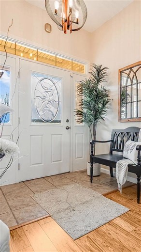 365 days of sunroom living ☀️ ☕️ | Jason Falcone