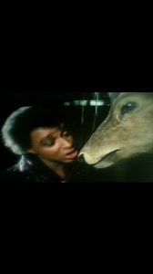 1.1K views · 62 reactions | Imagination Just an Illusion" is a song...