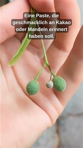 Nobody collects these fruits... 🌿