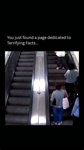 Terrifying As Facts | 🫡 In a crowded subway station in Chengdu, three elderly passengers lost balance on a moving escalator, triggering a chain reaction that... | Instagram