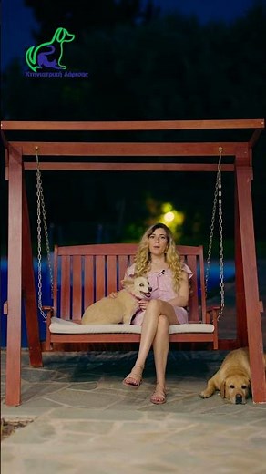 Σκύλος με άγχος αποχωρισμού μετά τις διακοπές . Τι πρέπει να κάνεις ! Κτηνίατρος Λάρισα