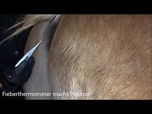 Fiebermessen youtube