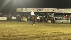 We are super proud of Chase Thrasher and Navy on this awesome win! This Just Fire colt has been super successful in the barrel pen, as a heel horse, and now as a calf horse! Congrats to you both! #justfirestallion #AllAroundHorse #upandcoming #onestowatch | 7k Performance Horses