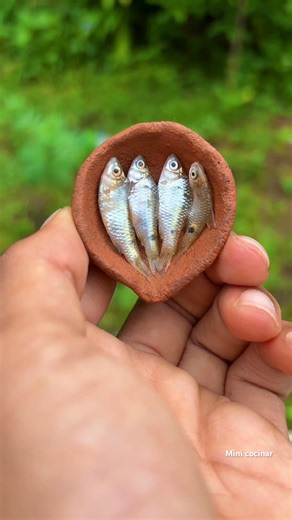 105K views · 516 reactions | Mini kitchen  | Mini Kitchen | Facebook