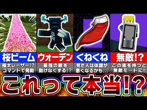 【マイクラ】ウソ？ホント？気になるバグ裏技を徹底検証した結果...！？【総集編】【まいくら・マインクラフト】