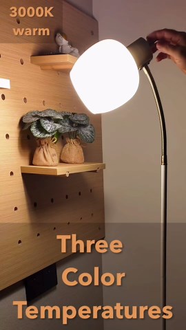 Adjustable Reading Floor Lamp,360°Rotatable Shade,3CCT LED Bulb Include,White Gooseneck