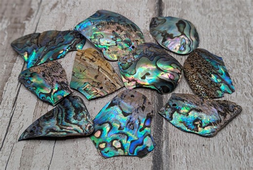 10 Broken New Zealand Rainbow Pāua Shell Beads. - Etsy UK