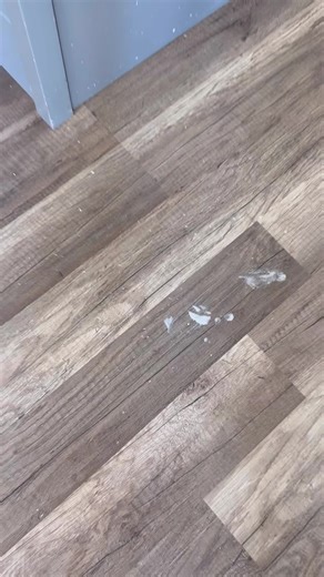 Busy moms, this one’s for you! The Don Aslett Spray Mop makes cleaning fast and effortless: ✅ No heavy buckets—just fill the built-in tank with cleaner and spray as you go! ✅ One-hand operation—perfect for multitasking moms. ✅ Microfiber pad traps dirt & dust—machine washable for easy reuse! Messy spills? Sticky floors? No problem! Just spray, mop, and move on with your day. Tag a mom who needs this! #MomLifeMadeEasy #SprayMopMagic #CleaningHacks