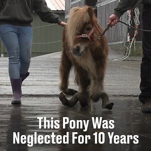 5.4M views · 13K reactions | He was near death, but his transformation is incredible  | LADbible | Facebook