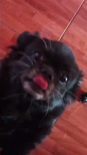 ruby and ruxy #love #cute