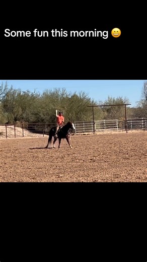 Love watching Justin rope ❤️ and play around with Teeter getting her some more exposure to cattle.￼😆 | DarnellaRae Petersen