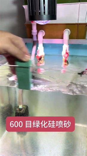 How to remove fish tank scale