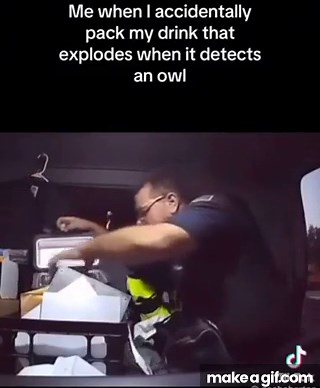 when i accidentally pack my drink that explodes when it detects an owl on Make a GIF