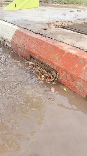 4.3M views · 10K reactions | This Culvert Flow Very Fast After Unclogged #trending #like #viralvideos #drain #unclog #reels #viralpost #follow #fyp #love #instagram #shorts #explore #remove #foryou #satisfying #explorepage #instagood | Billiam Briggs | Facebook