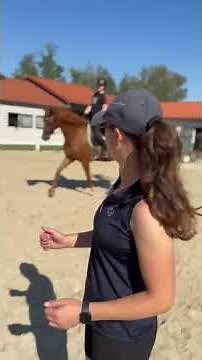 Pferdewirt-Ausbildung Klassische Reitausbildung