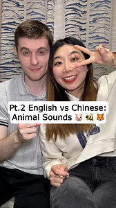 36K views · 10K reactions | English vs Chinese: Animal Noises 力 - - - - - #uk #british #internationalcouple #interracialcouple #britishaccent #couplegoals #mandarin #chinese #english #funnyreels | Yinrun | Facebook