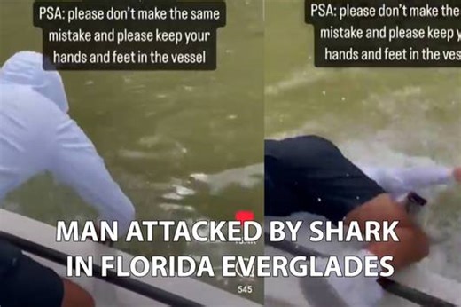 Man attacked and dragged out of boat by shark in Florida Everglades