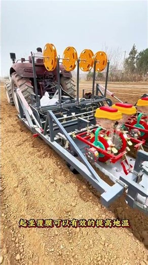 Maximizing Corn Yield: The Secret of Row Spacing & Mulching