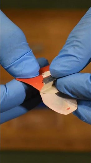 ASMR | 1960s Gillette TECH Safety Razor - Closed Comb, Ball-End Handle #gillette #asmr #razor