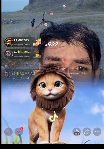 Live Highlights & Whale Diving Fan Club Events