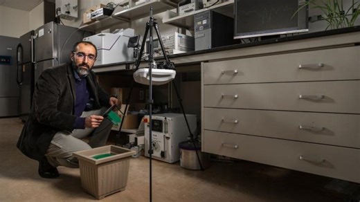 Smart nail sensor by Purdue researchers could help farmers by wirelessly tracking subsoil health | Praveen Srinivasan