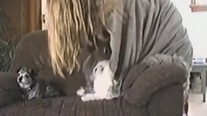 一秒變爆炸狗，得咗！ | My Pet Magazine 寵物閑情