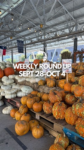 2.6K views · 23 reactions | Downtown Dallas is packed with things to...