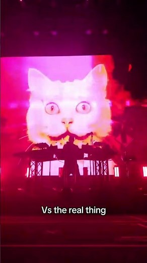 Thanks for bringing the ‪@TOMORAOFFICIAL‬ shows to life companions 🛸