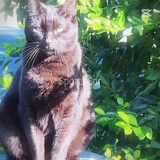 Are you a line talk too them in the chat!!