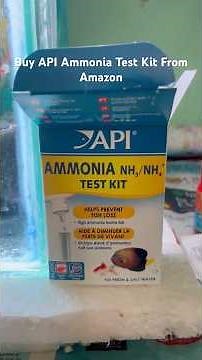 How To Check Ammonia Level with Api Ammonia Test Kit